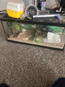reptile viv & accessories