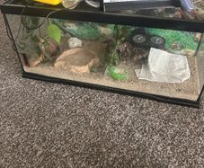 reptile viv & accessories