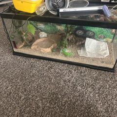 reptile viv & accessories