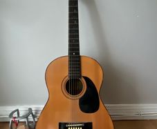 acoustic guitar