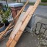 Free Timber Image 2