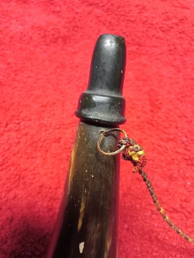 Vintage Cow Horn  1950s