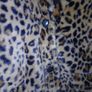 Leopard faux fur coat Image 3