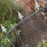 Free Wood Image 5