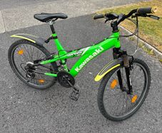 Kawasaki bike