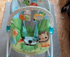 Baby bouncer