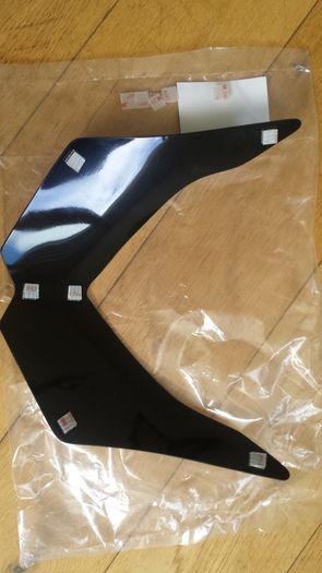 Z1000 Headlight Protector