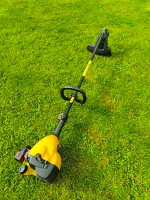 Strimmer - Partner SST 250