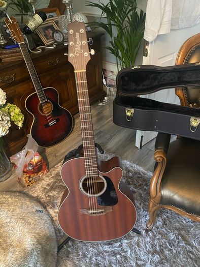 Takamine G Series