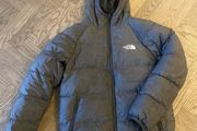 the north face coat