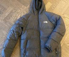 the north face coat