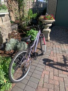 ladies bike