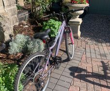 ladies bike