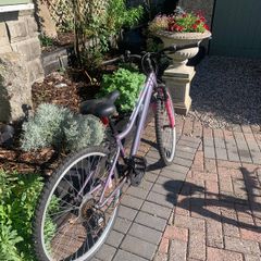 ladies bike