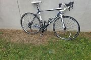 Trek carbon road bike.