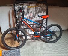 Childs Bike