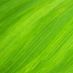 greenstrides