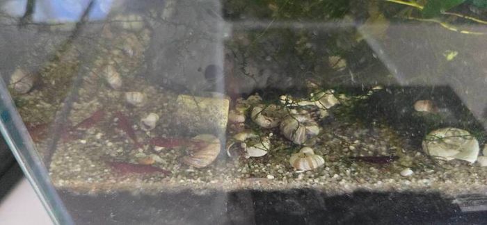 Tank with extras