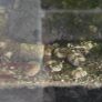 Tank with extras Image 2