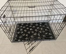 Dog Crate