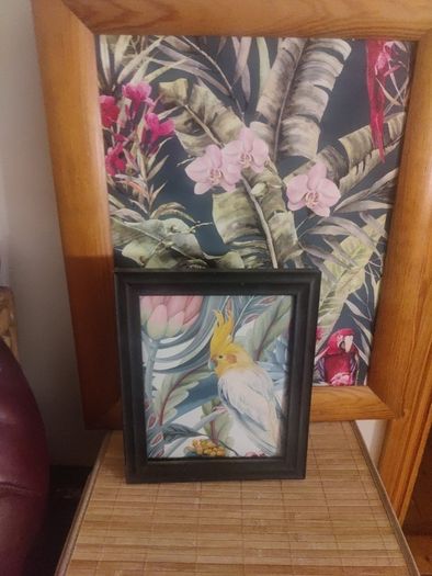 picture frame
