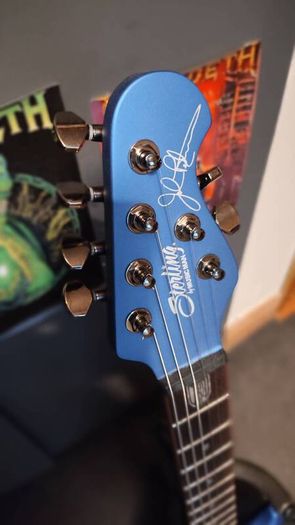 Sterling by Music Man Majesty 100
