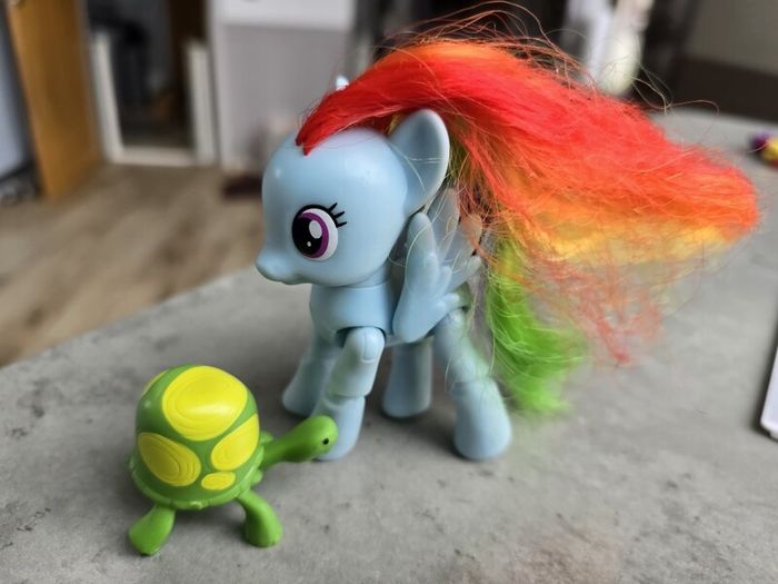 Articulated Joints Rainbow Dash with Pet Turtle Tortoise MLP G4 My Little Pony