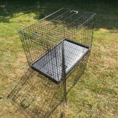 dog cage