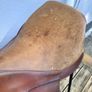 Berney 18 inch Showjumping Saddle Image 10