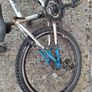 bike Image 4