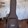 Taylor 210 CE Plus Image 6