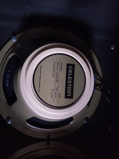 zilla 2x10 cab