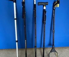 Walking Sticks