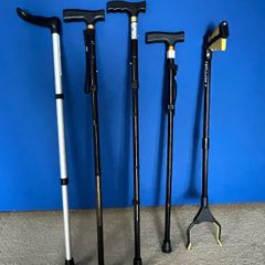 Walking Sticks