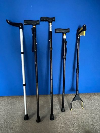 Walking Sticks