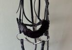 bridle