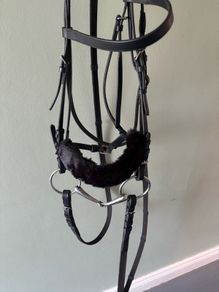 bridle