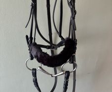 bridle