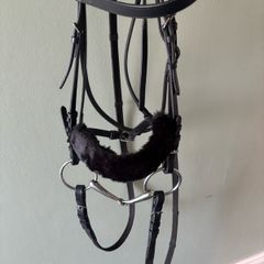 bridle