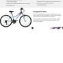 Apollo Vivid Junior Mountain Bike - 24" Wheel Image 2