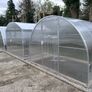 Enough with flimsy greenhouses. Get one built to last Image 4