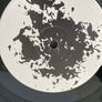 Sigur Ros - ( )   Untitled Image 9