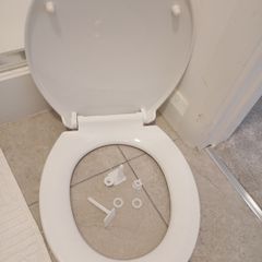 white toilet seat