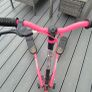 Swing scooter Image 2
