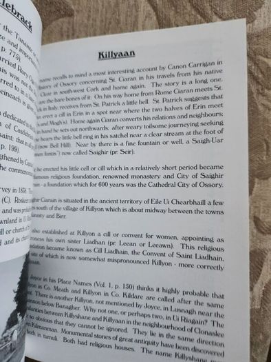 A History Of The O'dunnes. Duthai Ui Riagain ( Territory Of Ui Riagain) By Seosamh Mac Caba. First Edition Paperback In Very Good Condition.