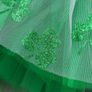 Tutu  Skirt Image 4