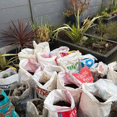 Free soil