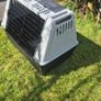 Pet car transporter Image 4