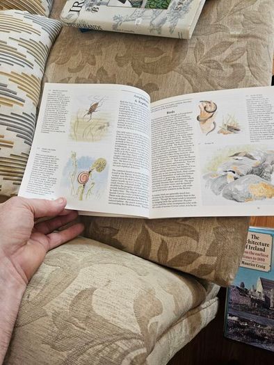 The Book Of The Burren. Edited By J.w.o'connell. First Edition Large Volume Paperback In Good Condition.  See Photos For Same.