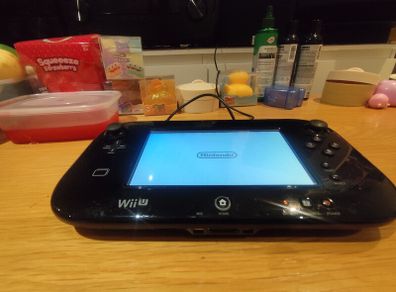 Wii U Gamepad only, no charger